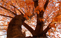 小黑ddos压力测试平台