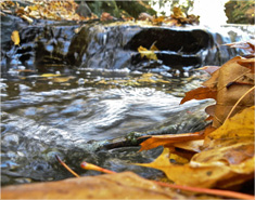 怎么去攻击一个网站与防护